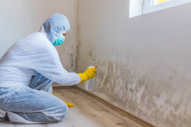Commercial Mold Remediation assessment for commercial property in Gordonville