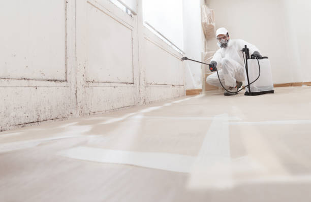Black mold remediation team in Gordonville